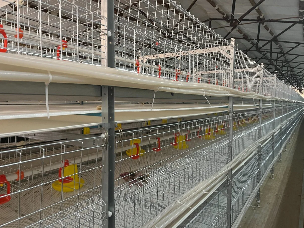 Kaufen guter Preis Akku Broiler 3-4 Tiers Cage System mit Zuführgeräte