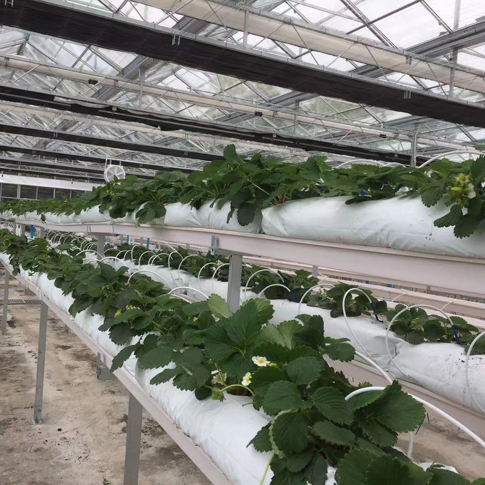 Substrato de agricultura Cocopeat crescer sacos para o plantio de vegetais com efeito de estufa