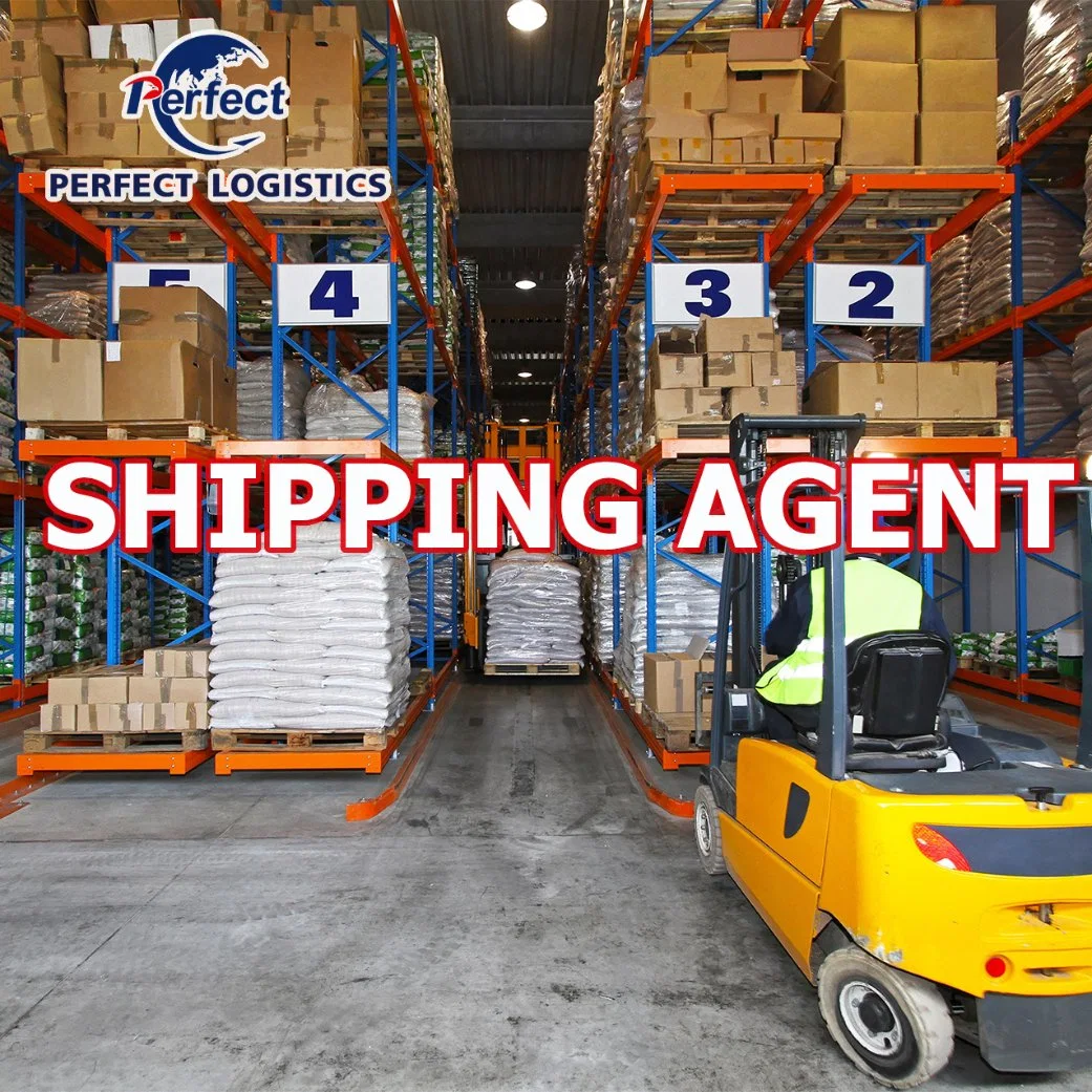 Ocean Shipping Fowarding Agent From China to Australia Ireland/UK