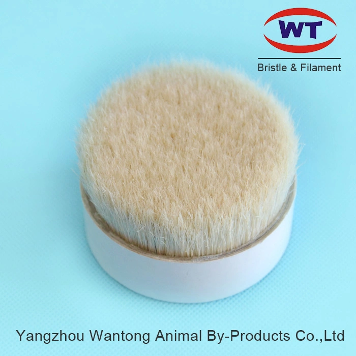 Chungking Bleached Boiled Washed Pure Bristle for Food Brush