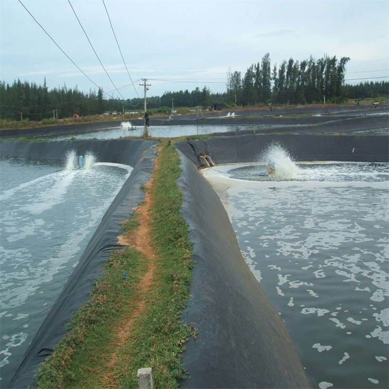 5m/6m/7m/8m Wide Geo Liner Reel Rolls PE Membrane Geomembrane in Sri-Lanka/Uganda/Ethiopia/Congo