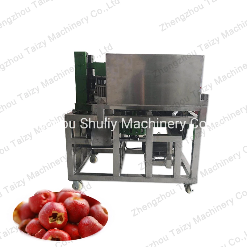 Cherry Lochfraß Maschine Getrocknete Datteln Absaat Maschine Plum Seed Entfernen Maschine