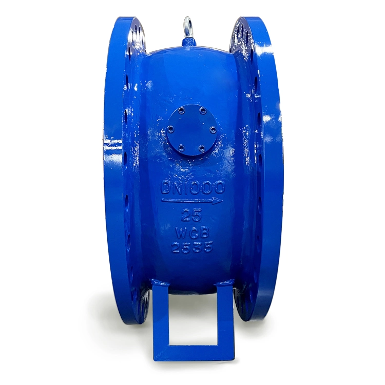 Tilting Check Valve Check SS304 DN200 8" Ductile Iron Disc Class 150 CF8 Tilting Type Single Disc