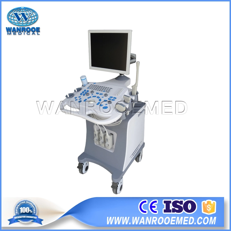 Usc80 Hospital 128 Element Diagnostic Digital Portable 4D Color Doppler Fetal Ultrasound Machine