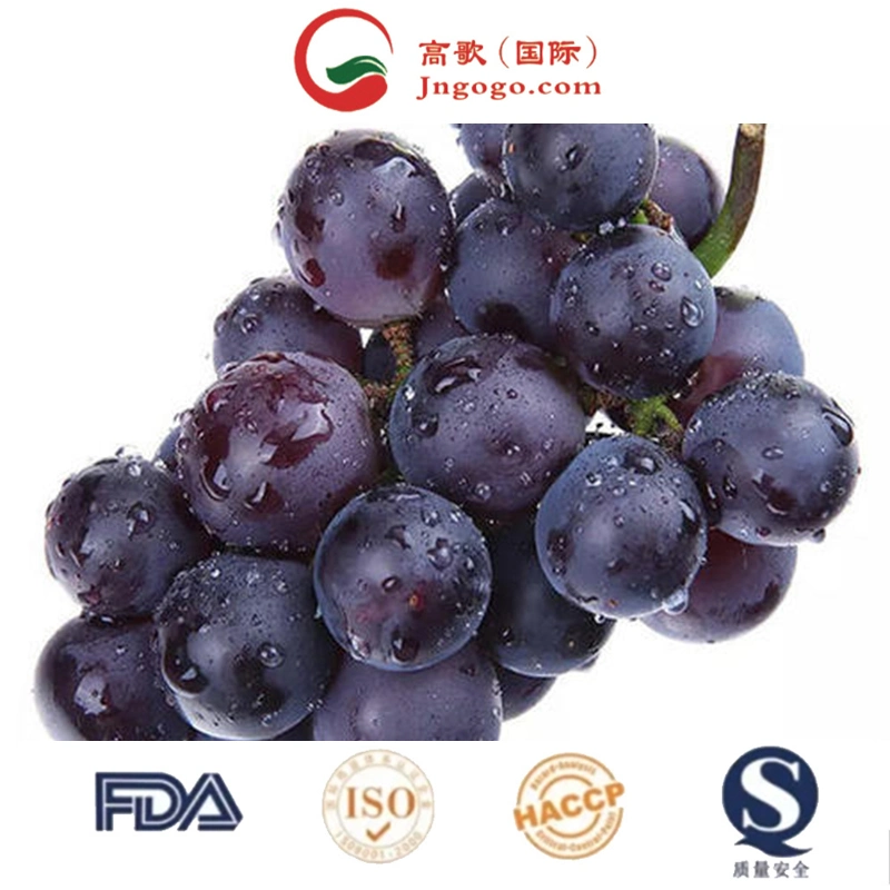 Kyoho Grape fresco de Lujo Embalaje de miel Alimentos