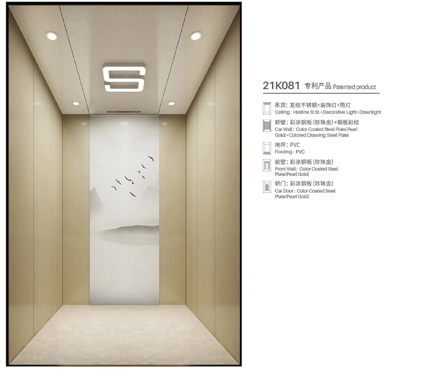 Leading Brand Panoramic Passenger Elevator with Rose Gold Stainless Steel