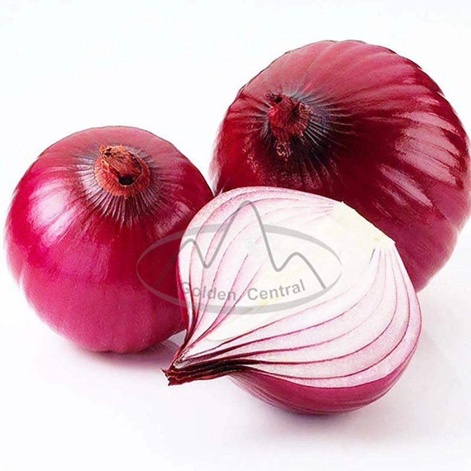 Chinês Natural vegetal Red Onion Atacado ao mundo