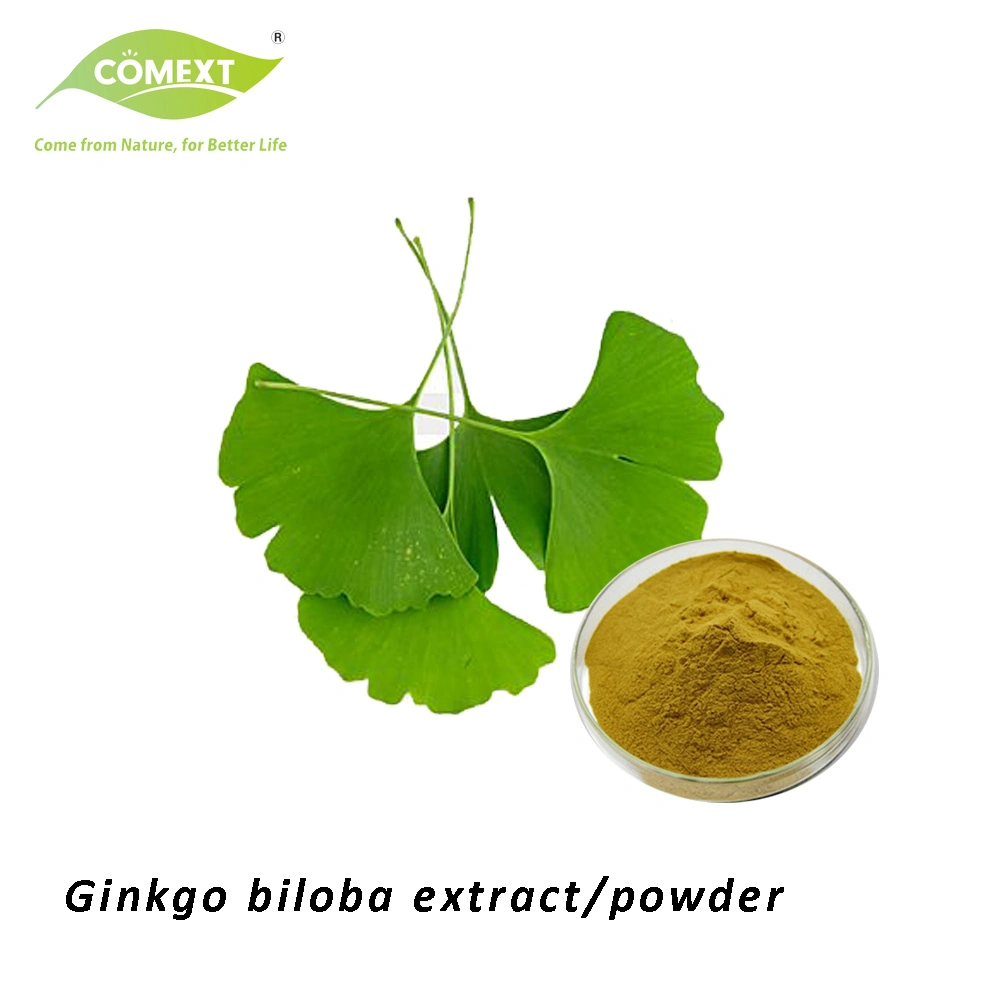 Comext Ep USP Standard natürliche Ginkgo Biloba Extrakt