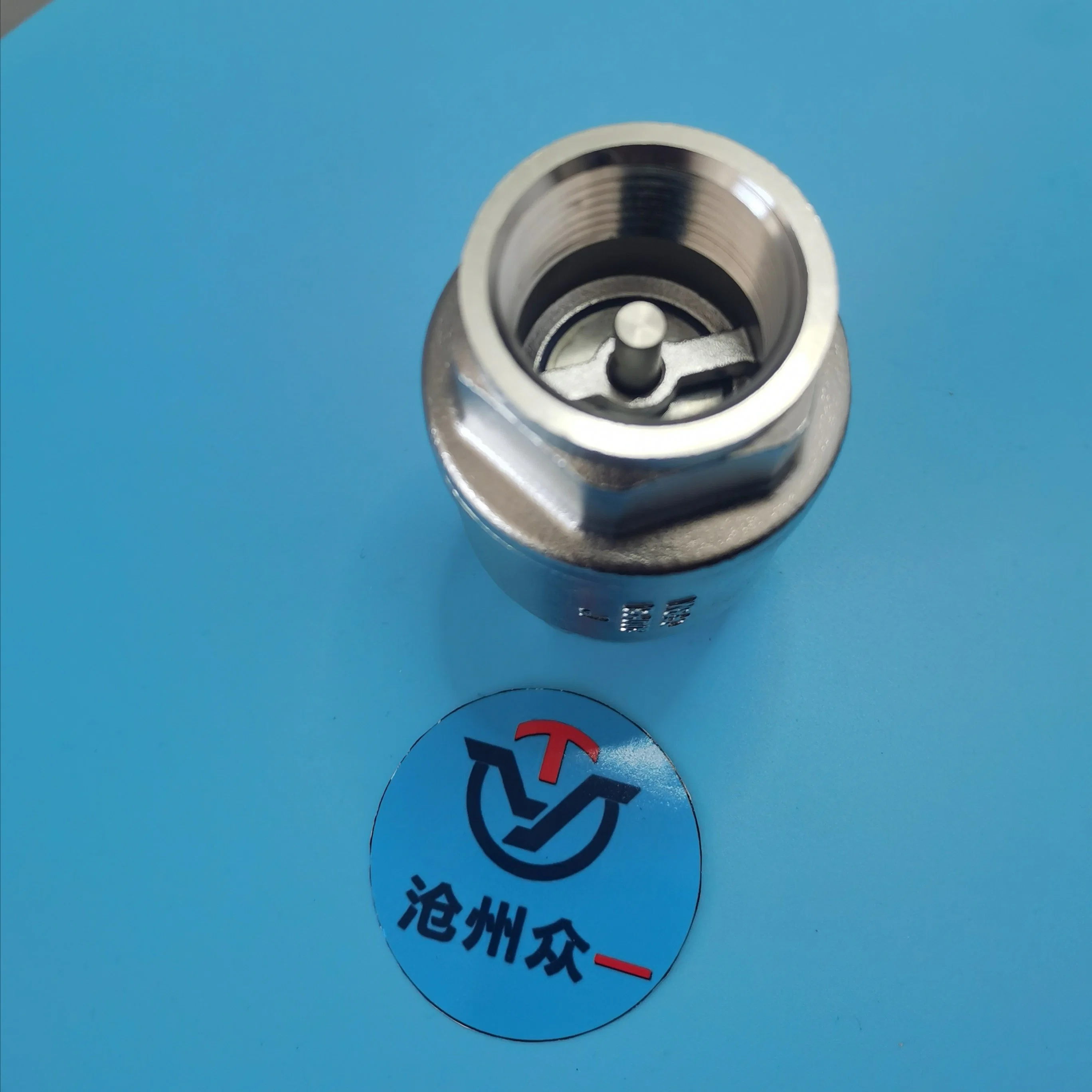 Stainless Steel 304 1/2 Inch Vertical Spring Check Valve