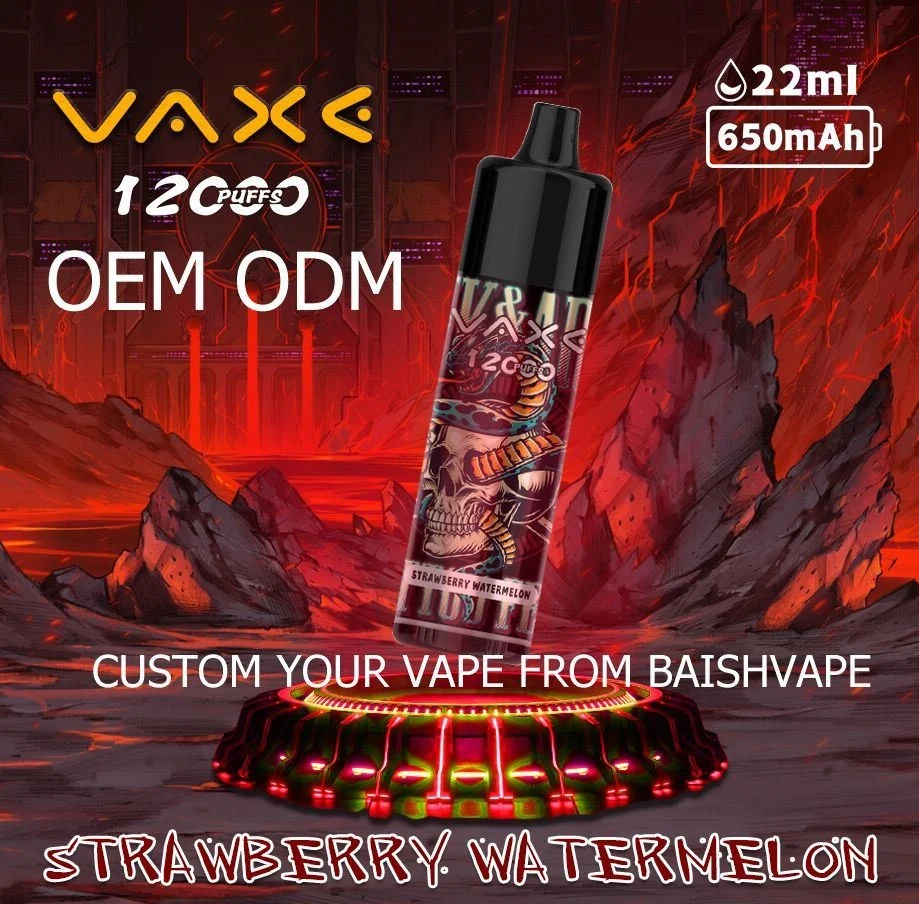 Vaxe 12000 Puffs 12K Zbood Custom logo Yecoo Fog Monster Bingo Voltbar cigarette électronique Vape jetable