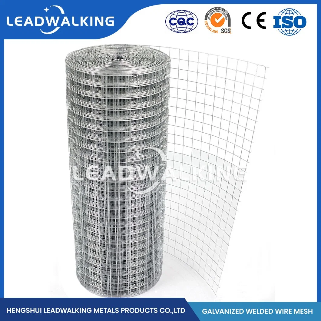 Leadwalking Plastic Welded Coated Wire Mesh Manufacturing Custom Square Welded Mesh China 1/2"X1/2" Inch Zinc-Coated Welded Wire Mesh for Fence