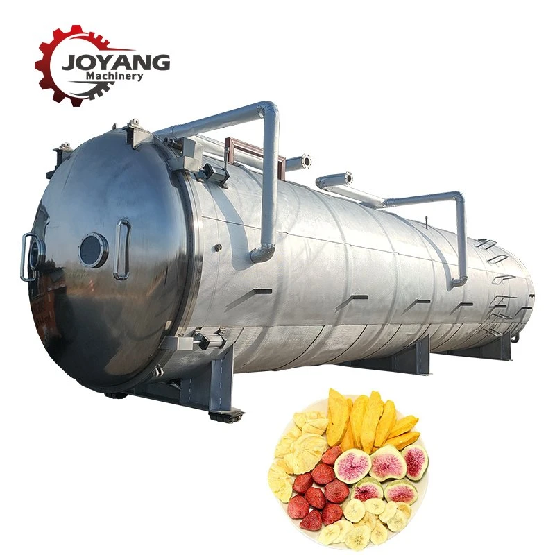 Foof Vegetable Fruit Vacuum Freeze Drying Equipment Machine