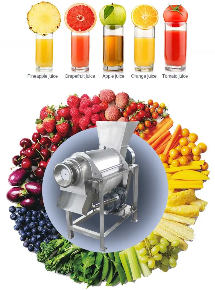 Premium Lime Mango Papaya Watermelon Juicer Making Machine