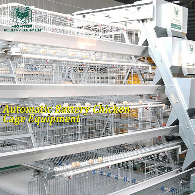 Entièrement automatique de la volaille de matériel agricole d'un type de couches d'oeufs au Ghana du système des cages en batterie