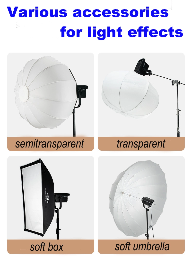 Photographic Lighting with Tripod Stand Phone Holder Beauty Lamp 10W Battery Operated LED Ring Light