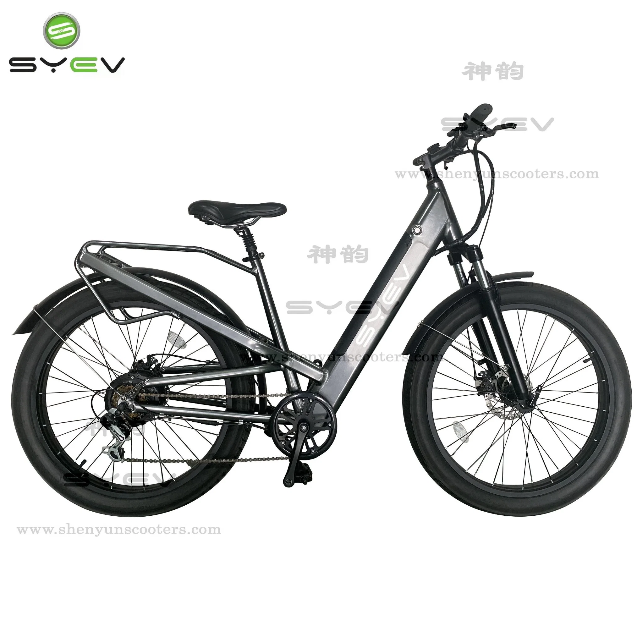 Electric Bike with Giant Tyre 2 Wheel in Wuxi Shenyun