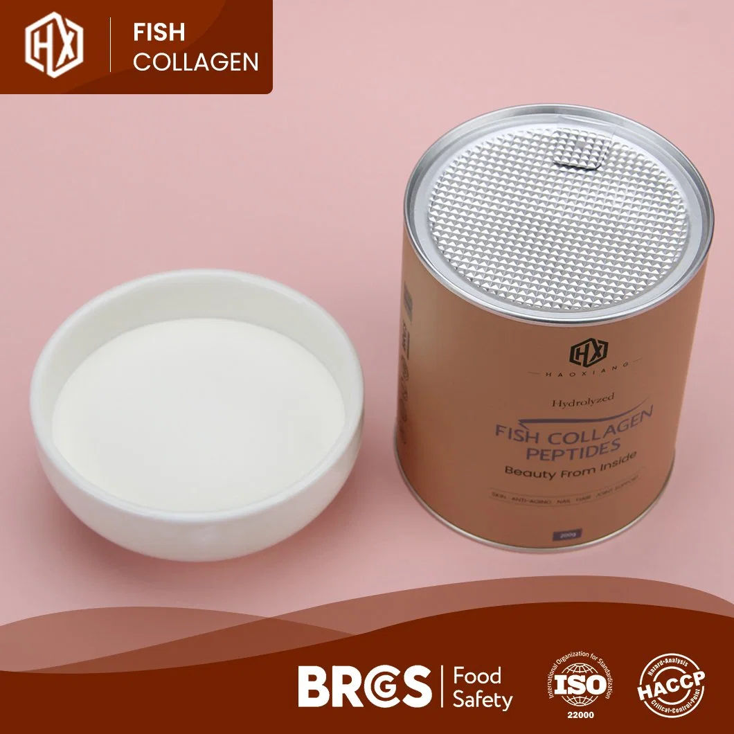 Haoxiang Low MOQ Tilapia Skala hydrolysierte lösbare Marine ohne Geschmack Collagen Peptide Pulver Weiß oder Hellgelb Aussehen Fisch Kollagen Pulver