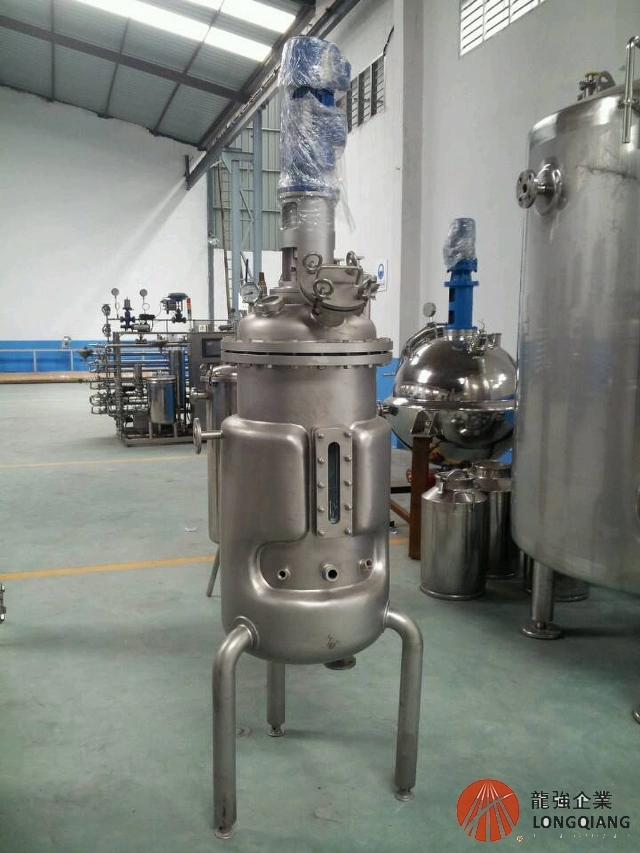 Stainless Steel 316L Biotech Fermentor