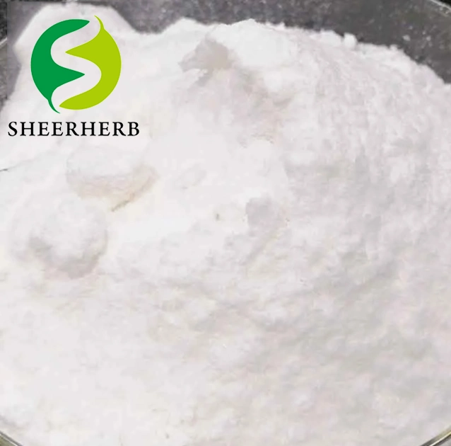 Sheerherb High quality/High cost performance Hot Saleing Metformin Hydrochloride Metformin CAS 657-24-9 with Lowest Price