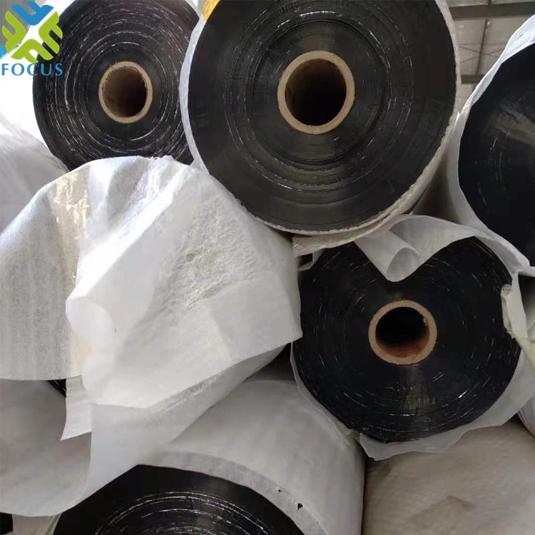 25 Mic Metallized CPP Film for Packing