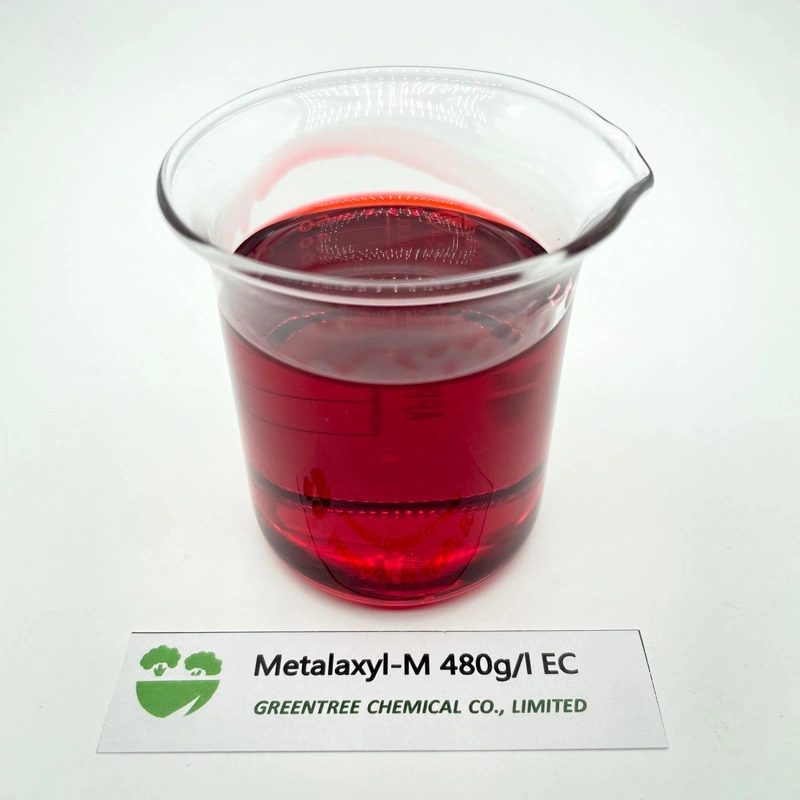 Sterilization 480 G/L Ec CAS No. 70630-17-0 Fungicide Metalaxyl-M