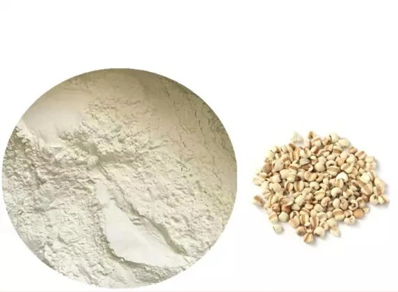 Chinese Manufacturer Wholesale/Supplier Dried Herbs Coix Seed Extract Powder