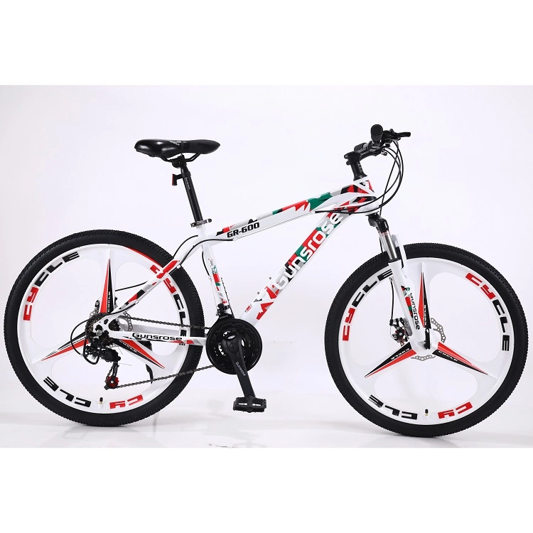 Factory Cheap Price 21 Speed Customized Adult Mountain Bicycle