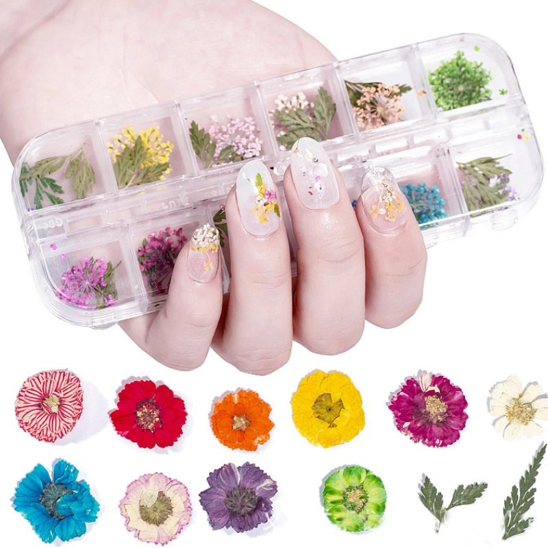 Real Dried Flower Nail Art Decoration Tips DIY Manicure Tools with Box