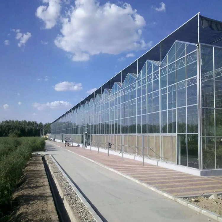 Complete Glass Agricultural Greenhouse Turnkey Project with Quick Construction