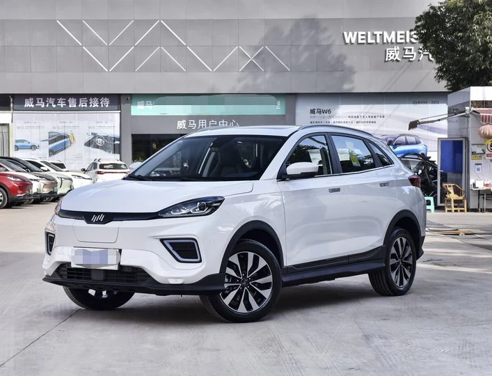 Low Price Pure Electric Automobile SUV Car