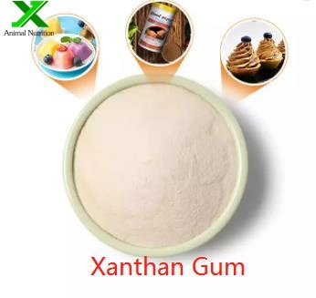 Zhong Xuan Deosen Bulk High E415 Xanthan Gum Powder Food Grade