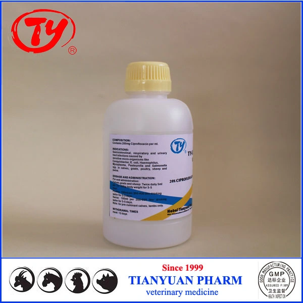 Silymarin Oral Solution Veterinary Products for Animal Health Care