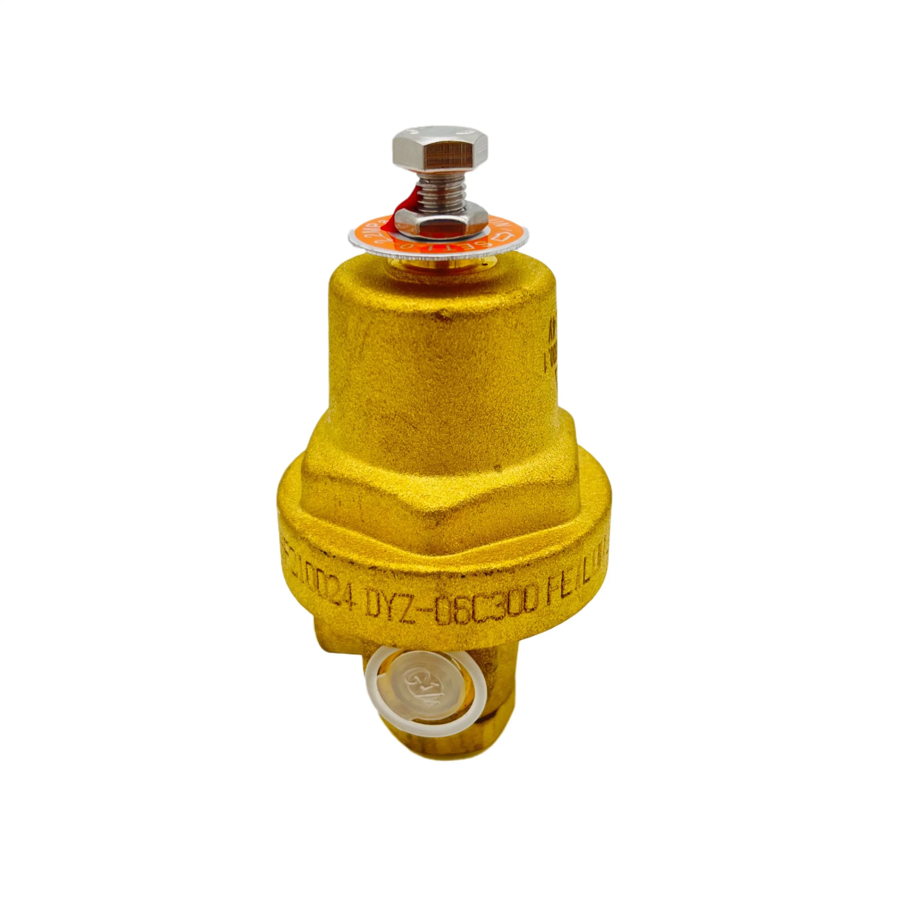 Feilun Dyz-06c Brass Low Temperature Cryogenic Combination Pressure Regulator