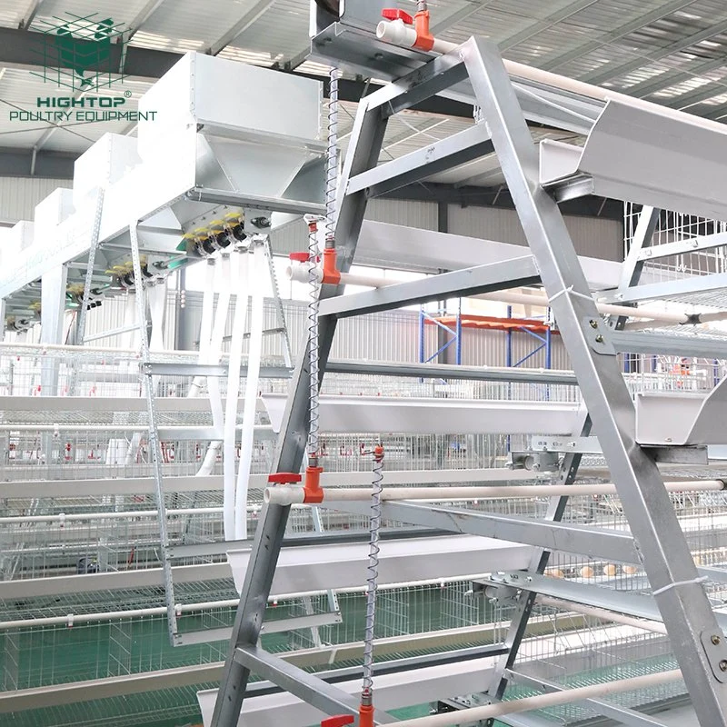 96 Capacity A Type Poultry Farm Hot Dip Galvanized  Chicken Egg Layer Cage In Philippines