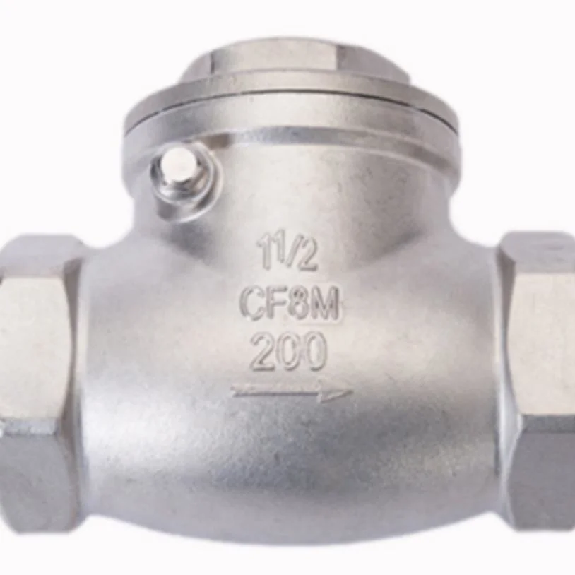 Water System Stainless Steel Female Two Piece Full Bore Non-Return Check Valve