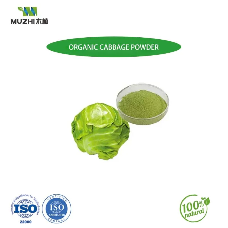 Vegetable Plant Organic Natural Vegetable Powder Extract