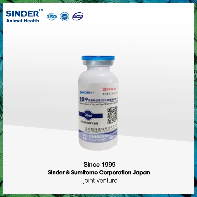 Vacina de suínos Síndrome reprodutiva e respiratória de suínos altamente patogênicos Live Vacina (Strain GDr180) para utilização em animais