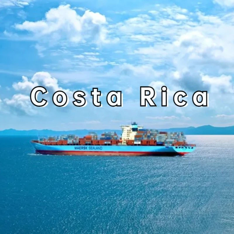 Professional Alibaba Express Agent for Sea Freight From China to Costa Rica