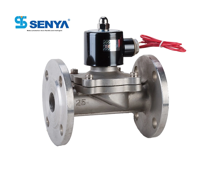 2s Series Direct Acting 2/2 Ways Stainless Steel Solenoid Valve with Flange