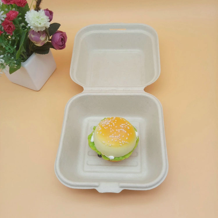 Food Grade Compostable Lunch Box Sugarcane Bagasse Disposable Bio Degradable Container