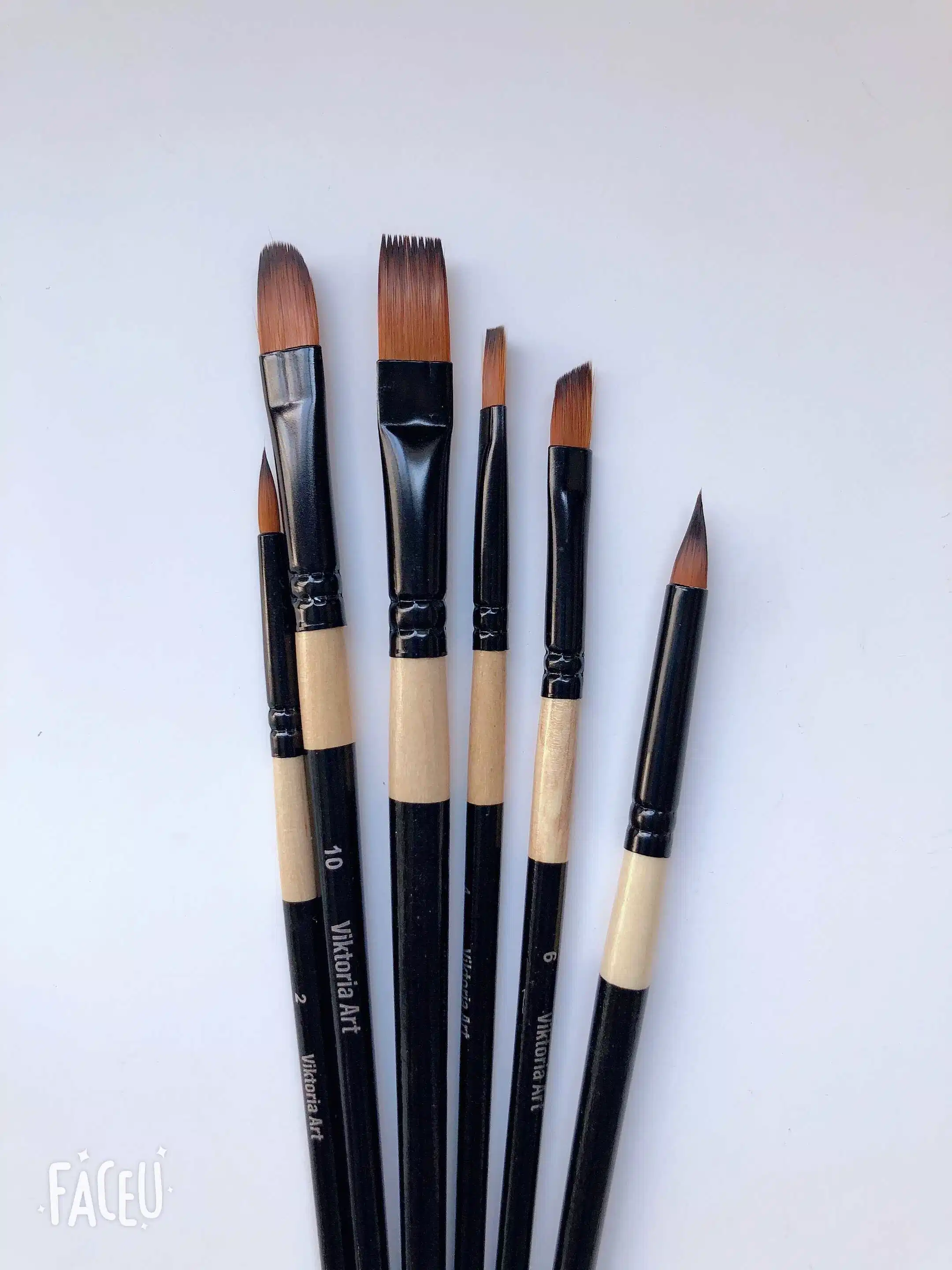 Professional Supplier Artist Paint Brushes for Art Oil Painting