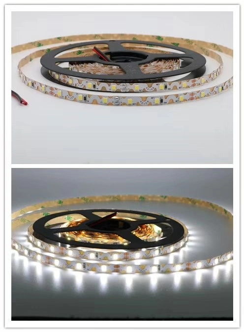 S Type 2835 60LEDs/M Ziazag LED Strip White LED Tape Light for Advertising Signs