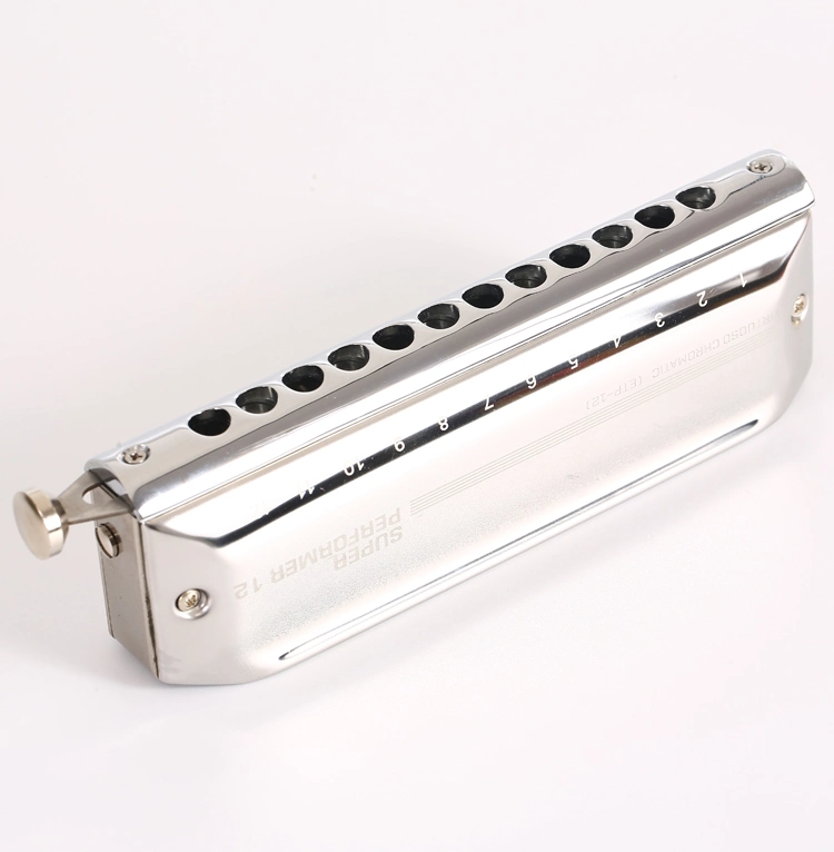 Excellent Workmanship 12 Hole Brass Reedplate Harmonica