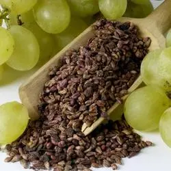 High Qualified Grape Seed Oil 99%