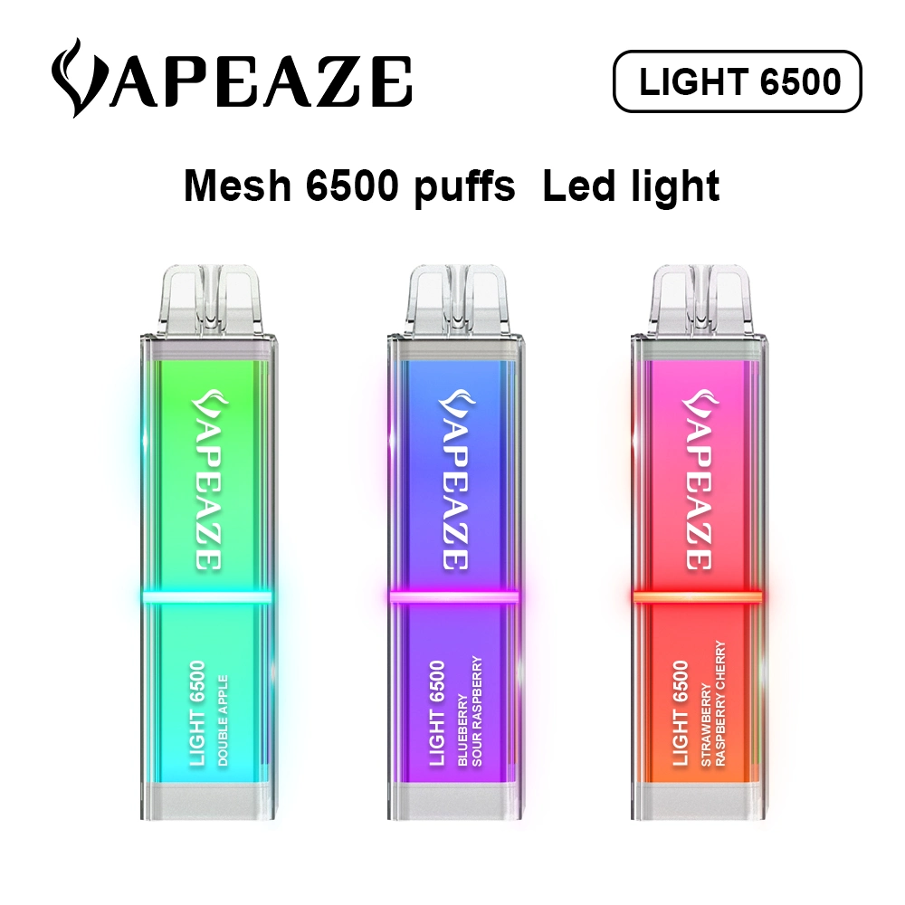 High Quality 10ml E Liquid Fruit Flavors 20+ E Cigarette Disposable Pod Recharging RGB Lighting 6500 Puff Disposable Vape Kit