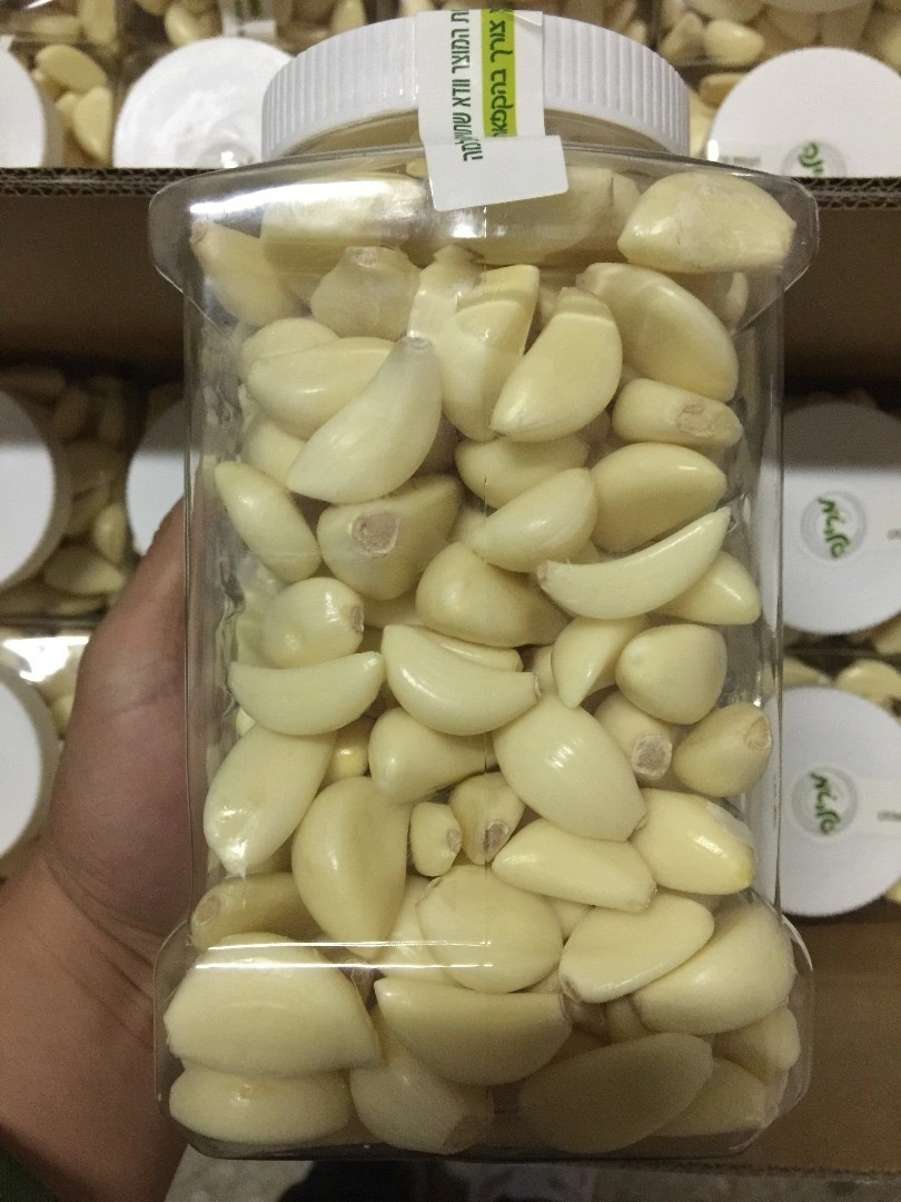 Chinese High quality/High cost performance  Fresh Peeled Garlic