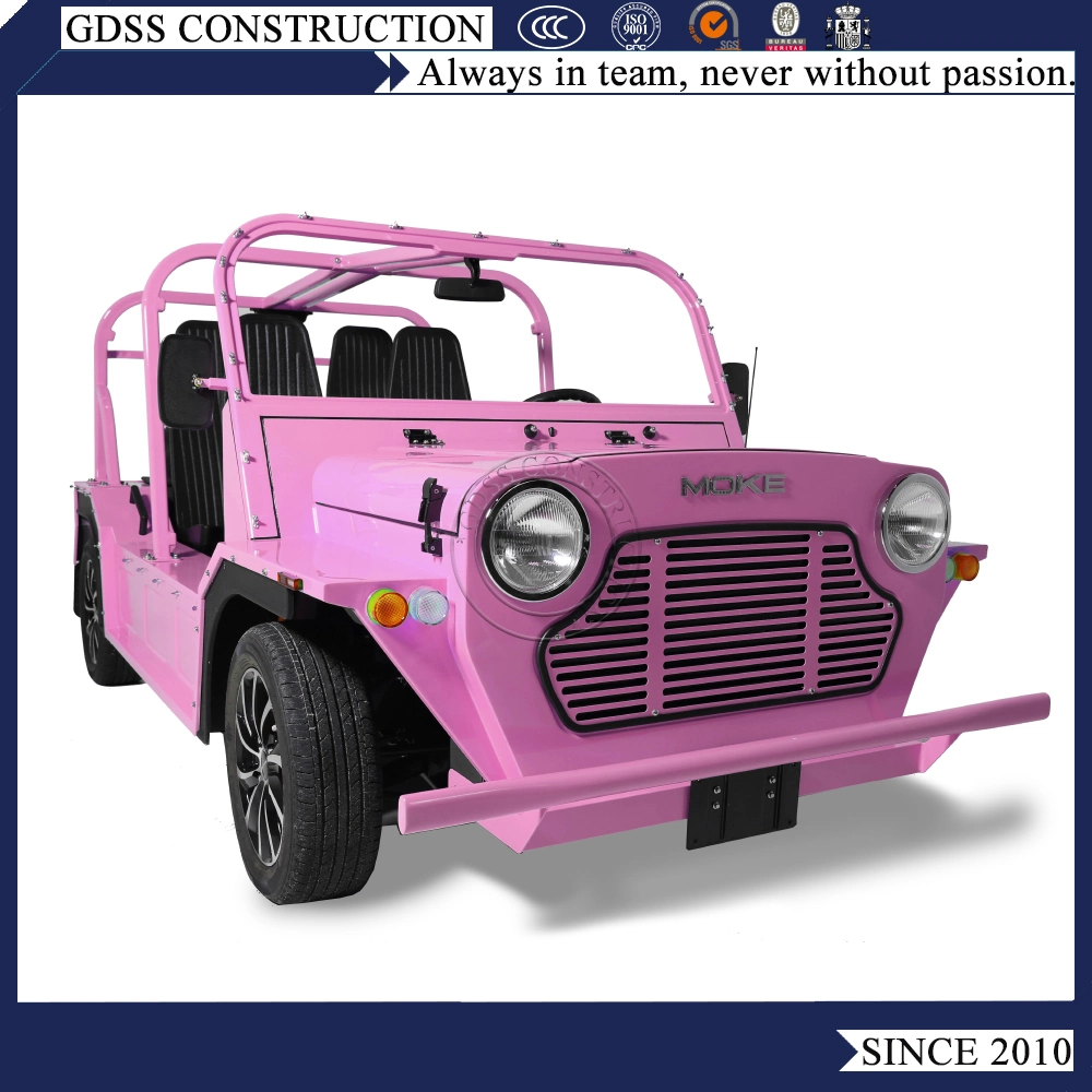 Automatic/Manual Transmission Gasoline Engine Car Convertible Mini Moke