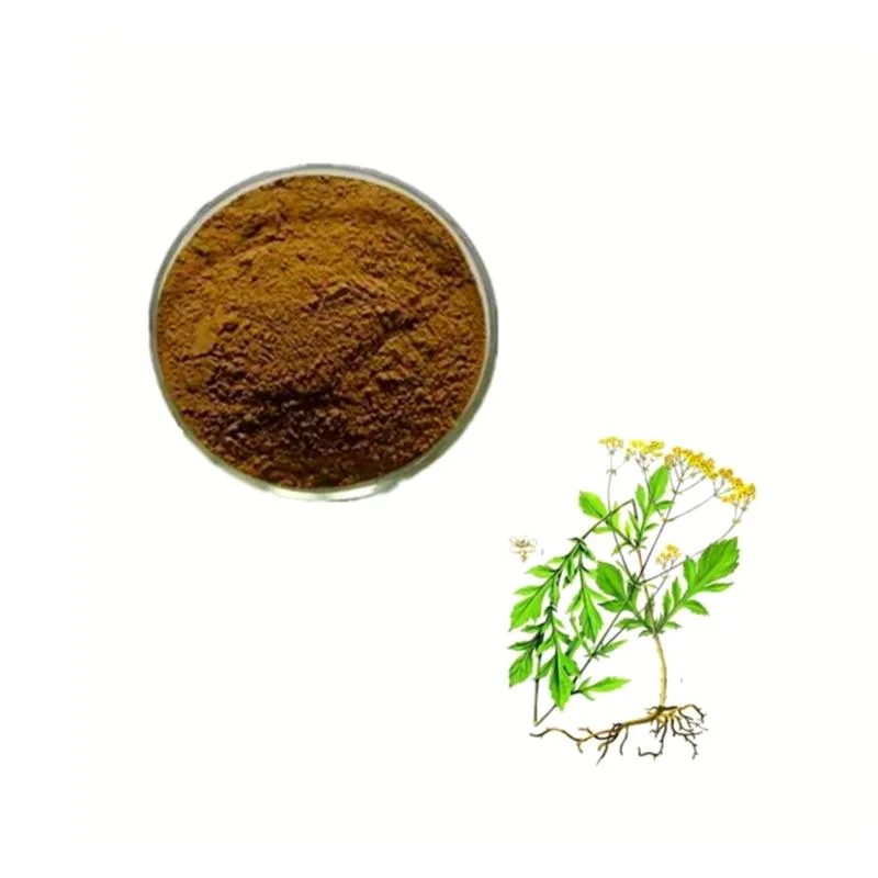 Сыпучие китайские травяные лекарства Herba Patriniae Extract