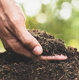 Excrementos de animales agrícolas de alta calidad fertilizante orgánico Guano