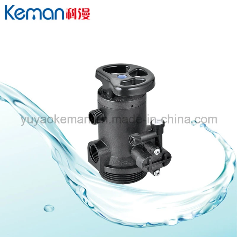 Manual Water Softener Control Valve Downflow Type with Ce Certified